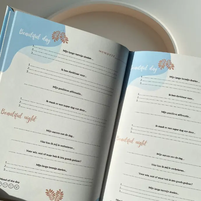 10-minuten succesboost dagboek