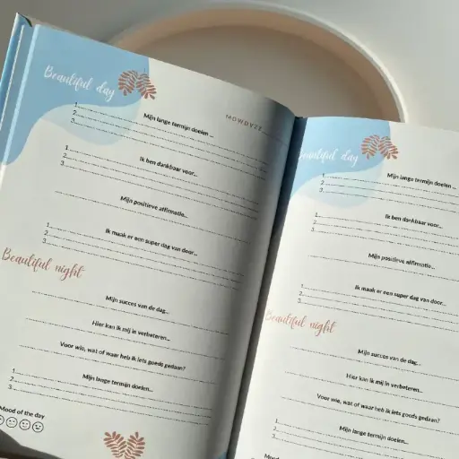 10-minuts succesboost journal